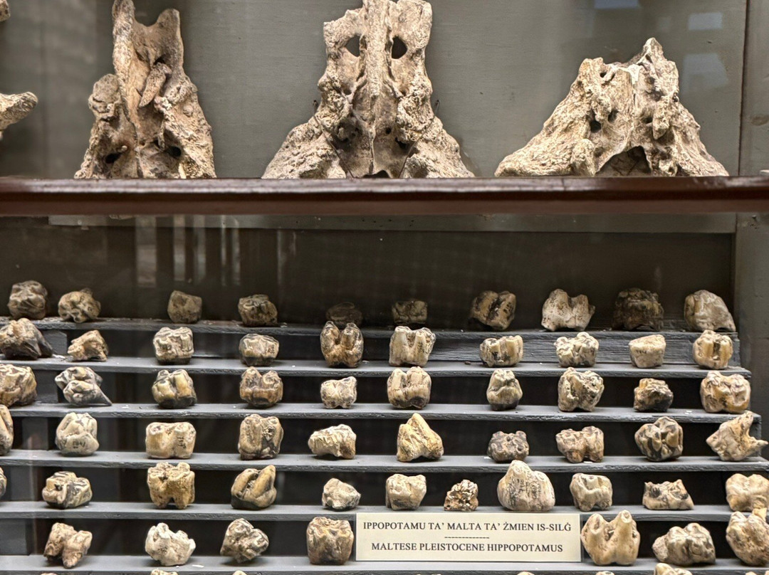 Ghar Dalam-Birzebbuga必去景点