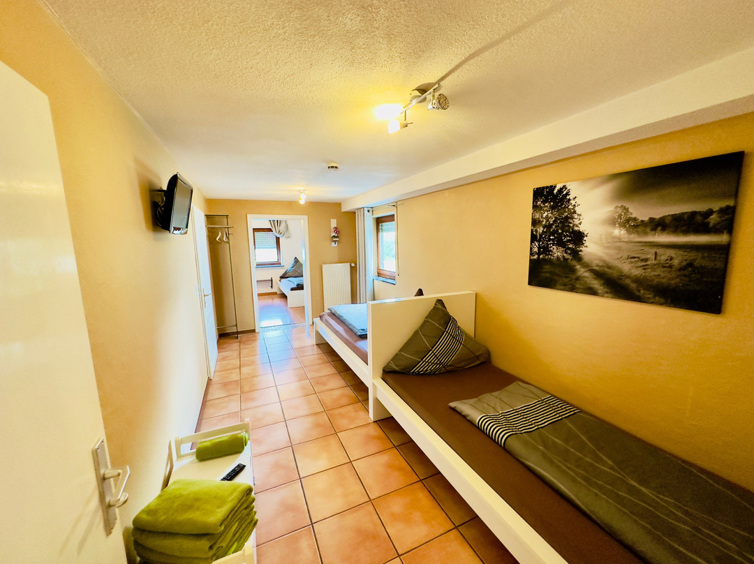 Pension Zum Grünen Baum主图