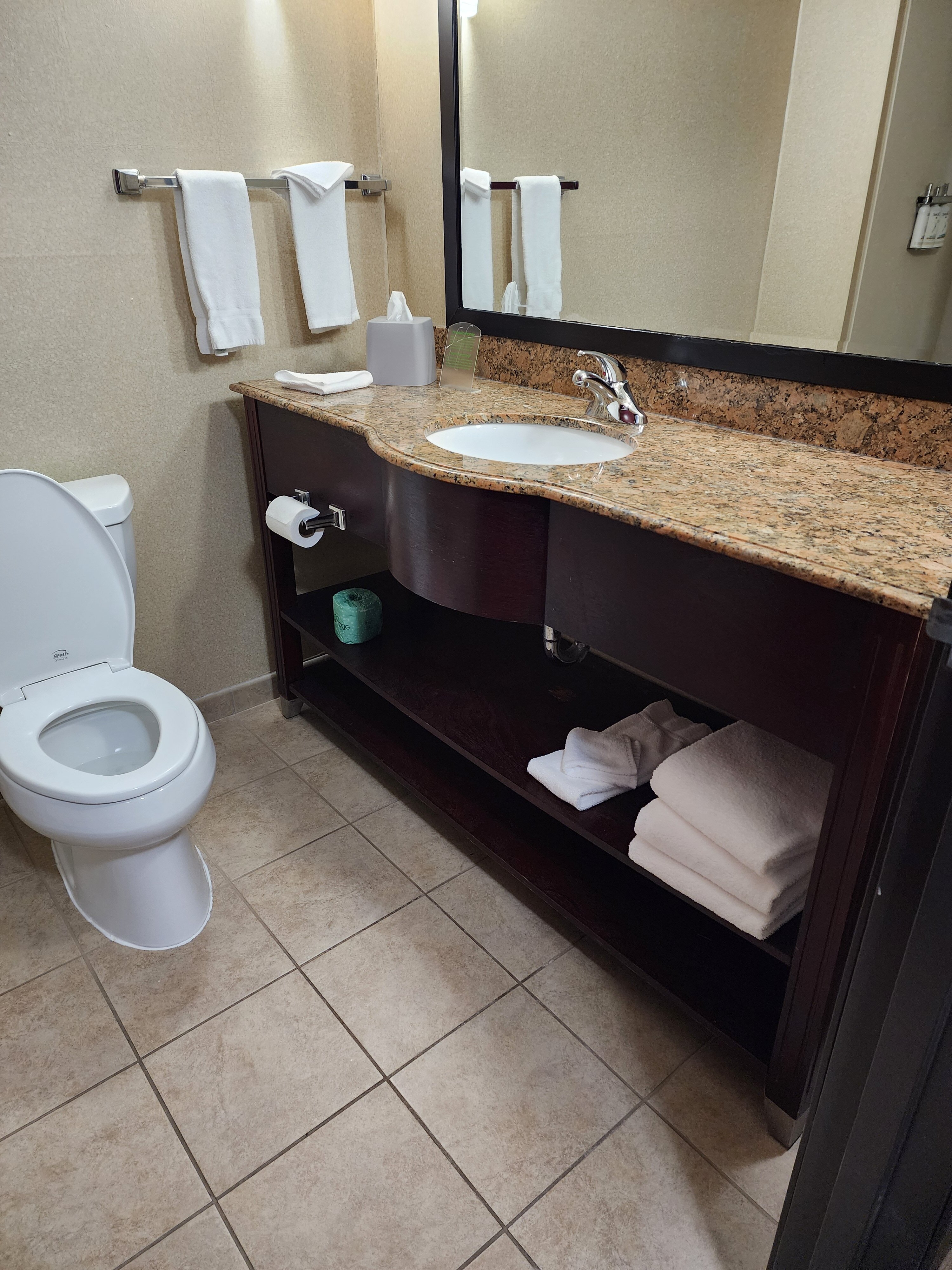 Holiday Inn Express & Suites Elkton - University Area, an IHG hotel-浴室