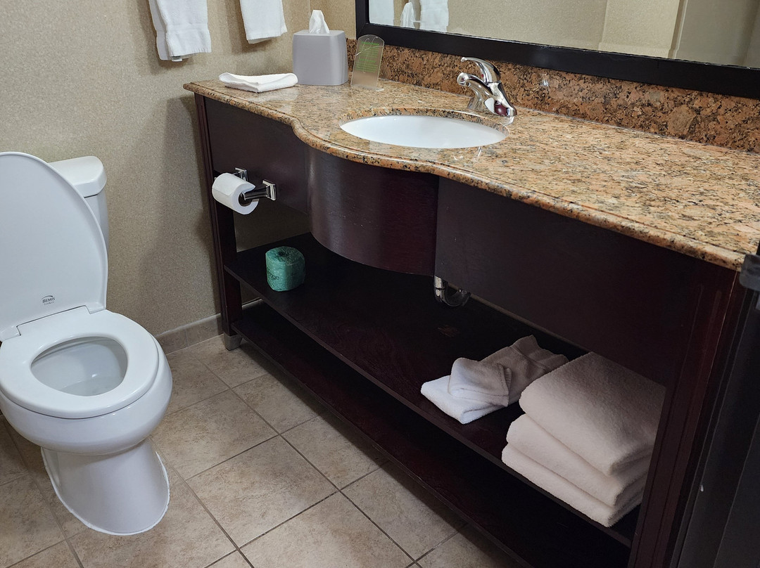 Holiday Inn Express & Suites Elkton - University Area by IHG主图