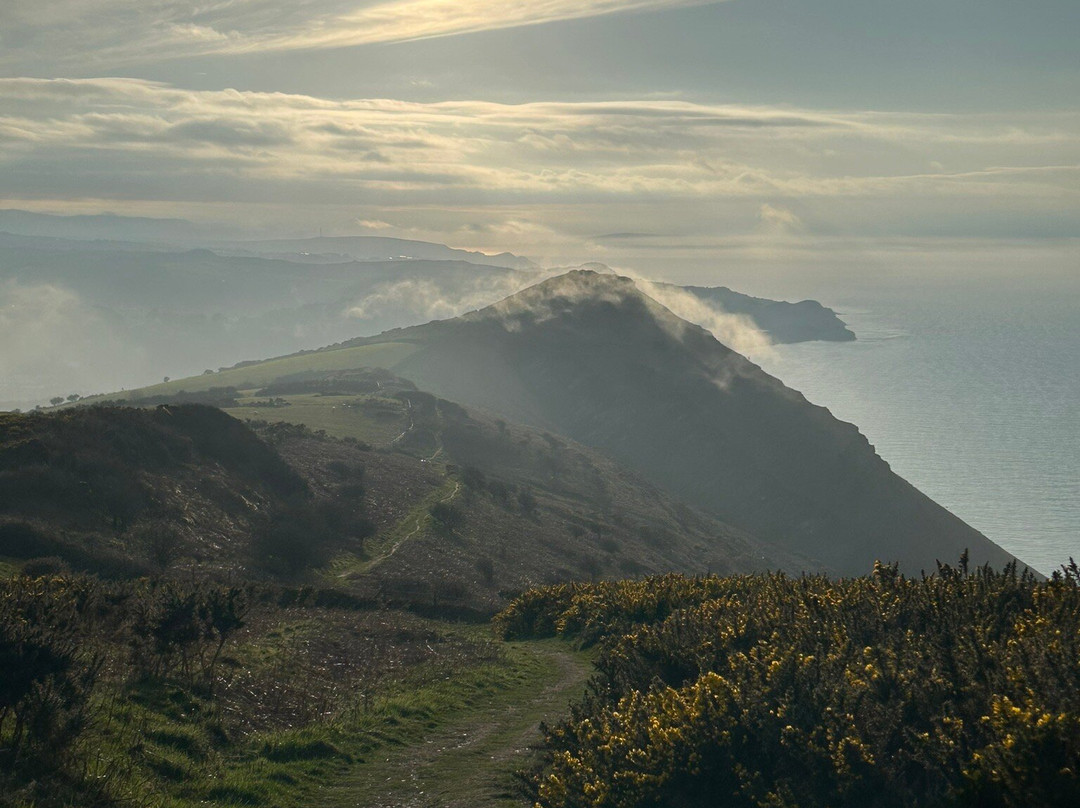 Pack o' Cards Inn主图