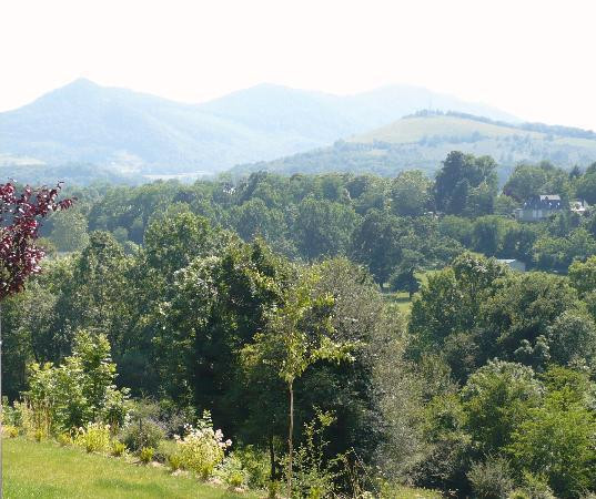 Larch House Chambre d'Hote主图