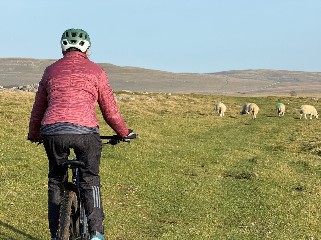 Lake District Bikes景点图片