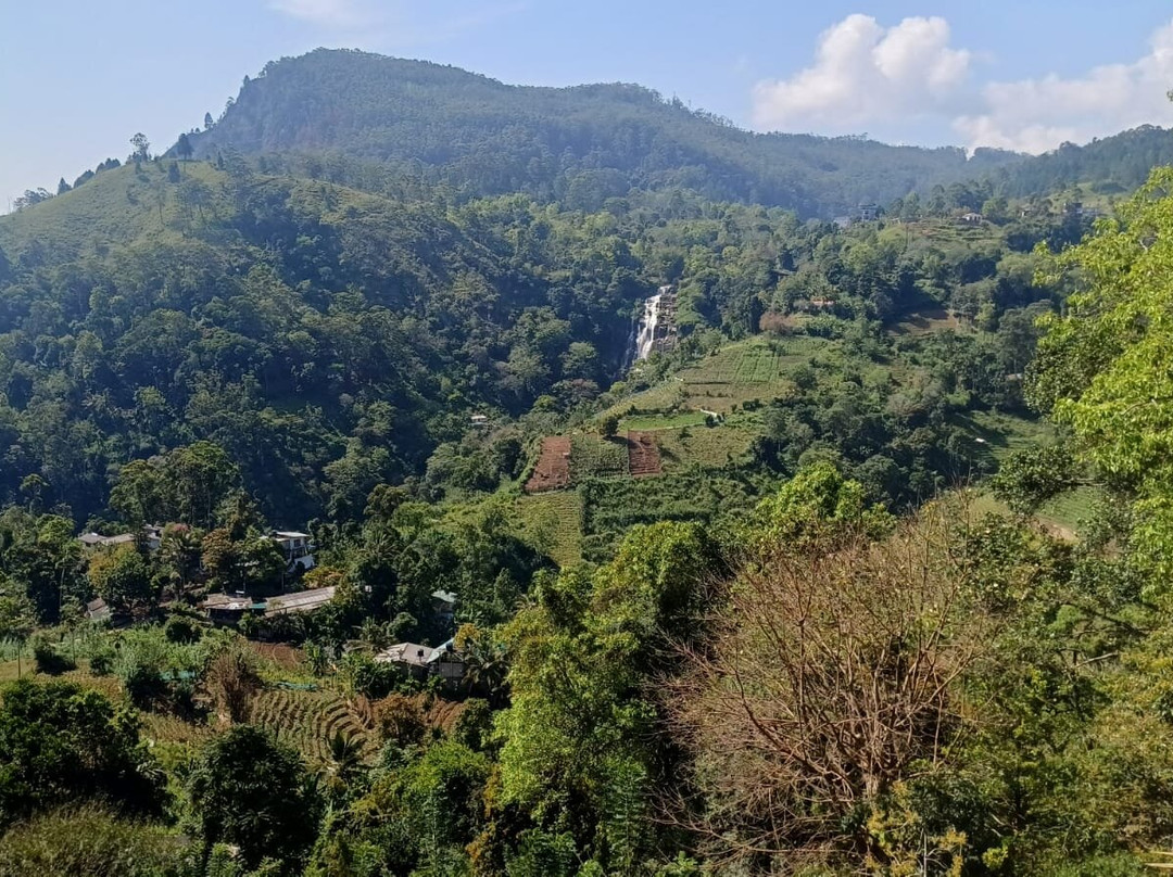 New Ella Nature View