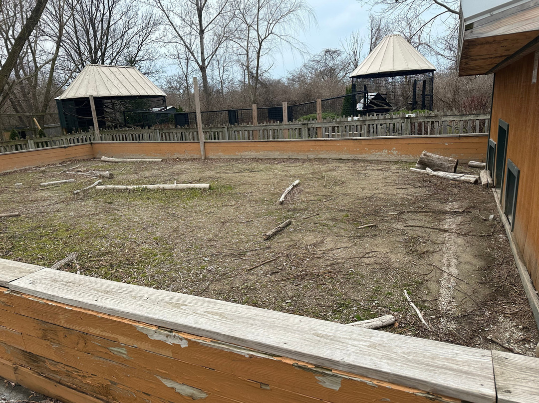 African Safari Wildlife Park-克林顿港必去景点