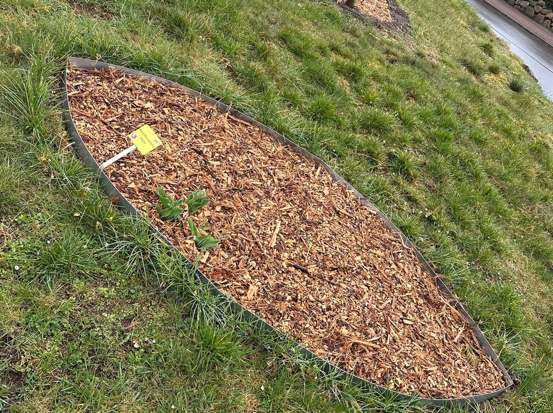 St. Michaels Kirchengemeinde-Stelle必去景点