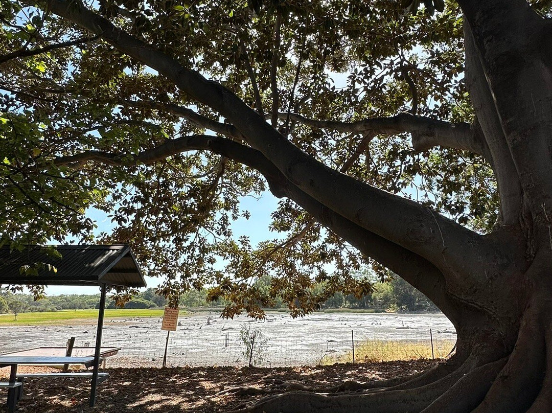 Lake Claremont-Claremont必去景点