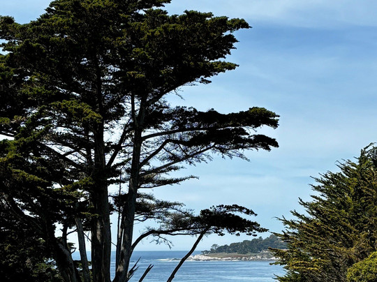 贝斯特韦斯特卡梅尔湾景旅馆主图