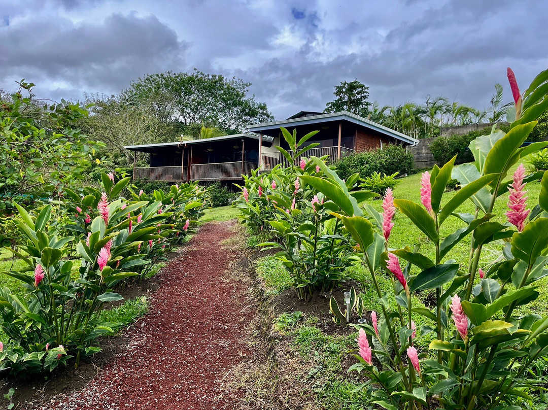 Villas Paradise主图