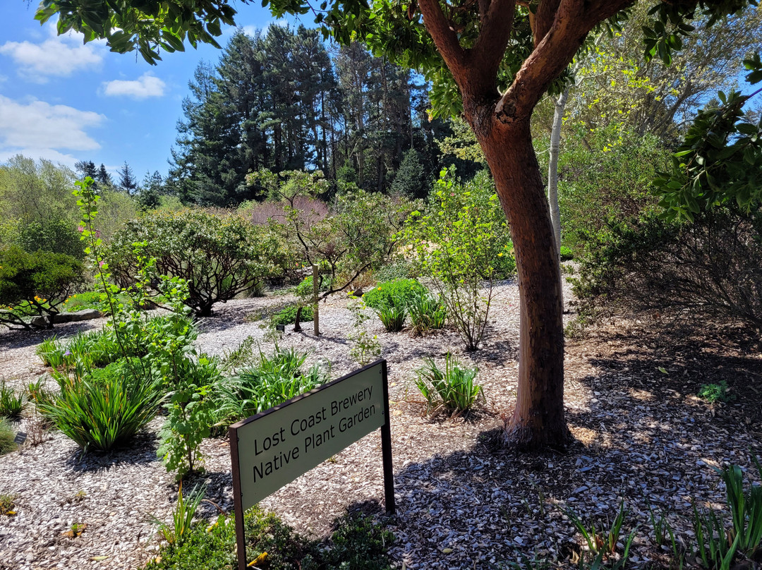 Humboldt Botanical Garden-尤里卡必去景点