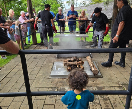 Auckland & Beyond Tours-奥克兰中心地区必去景点