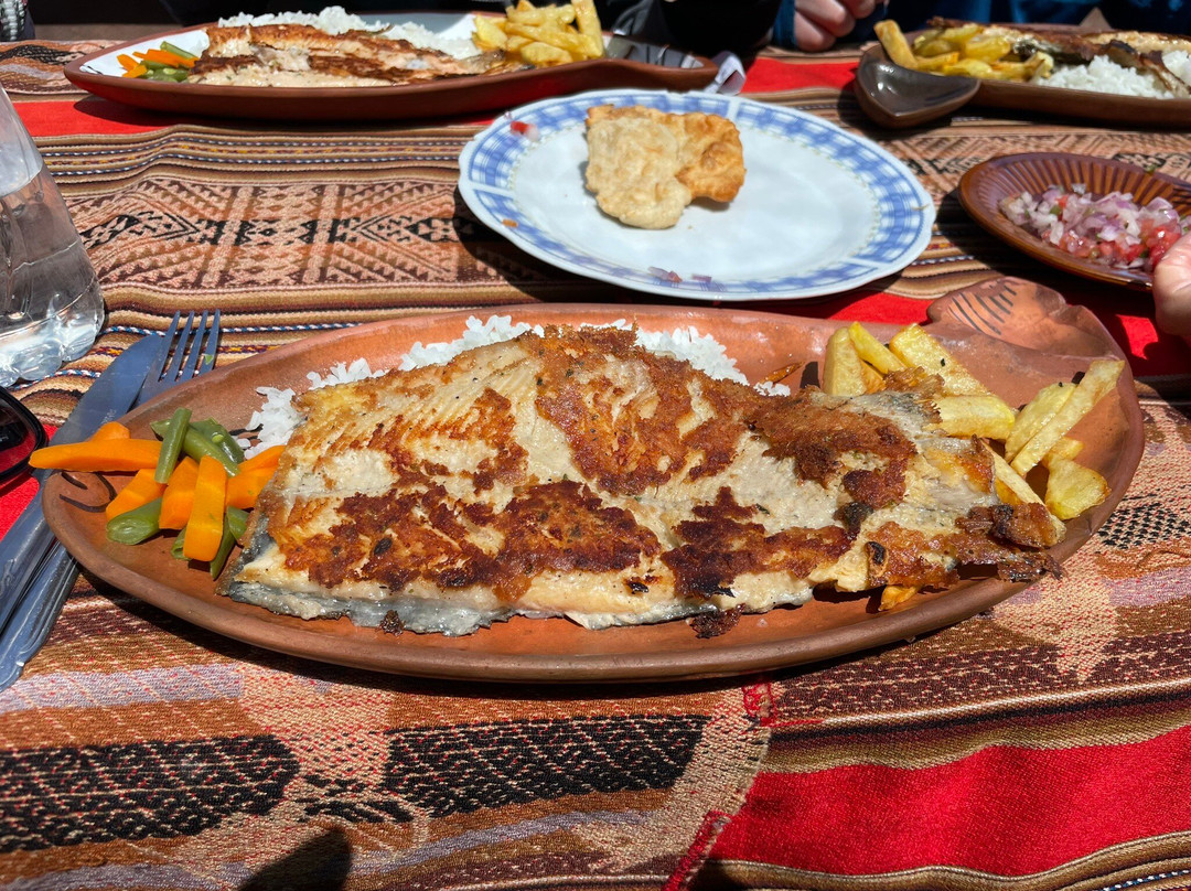 Kollasuyo Travel - One Day Tours-普诺大区必去景点