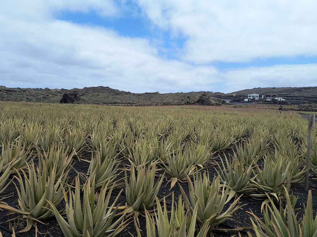 Lanzaloe-兰萨罗特必去景点