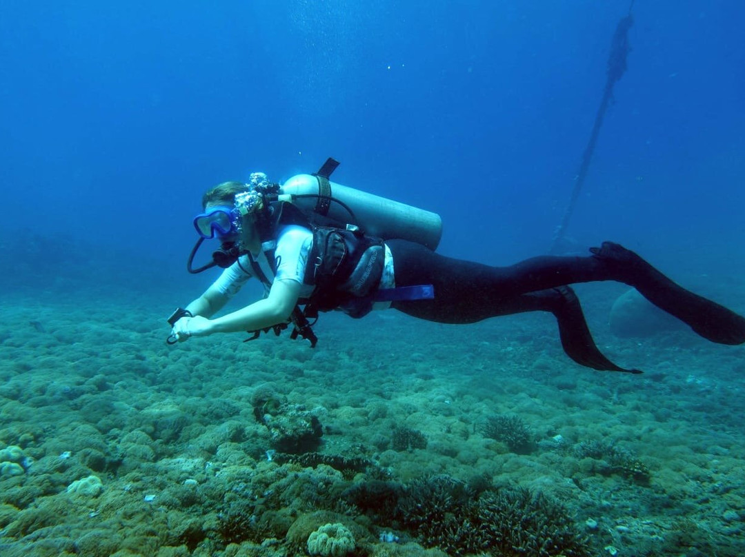 Diving Candidasa景点图片