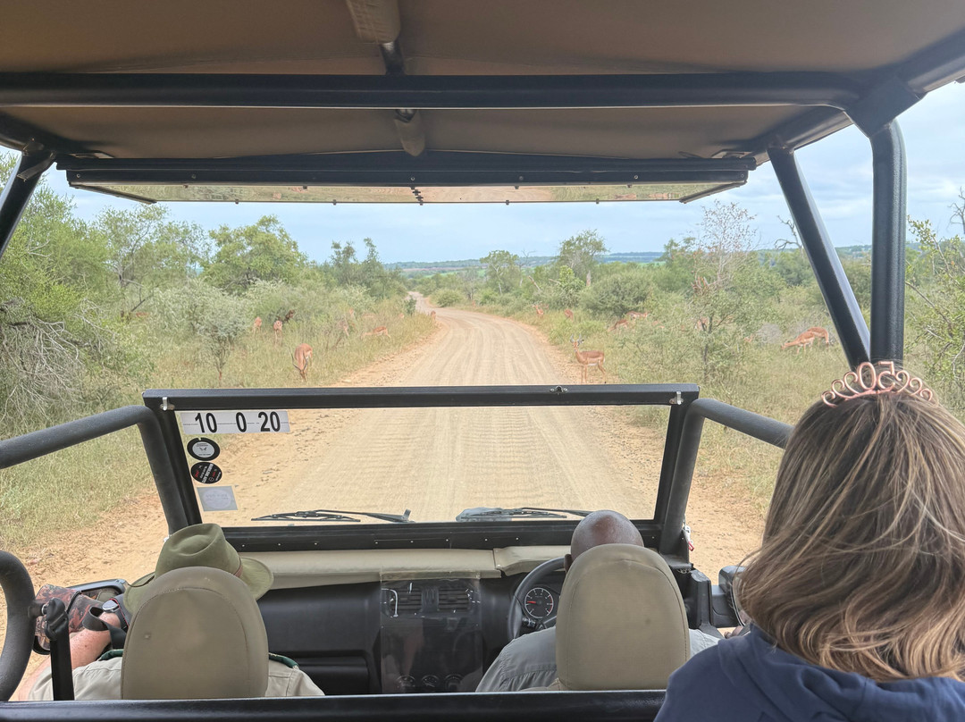 Wildside Tours and Safaris - Day Tours景点图片