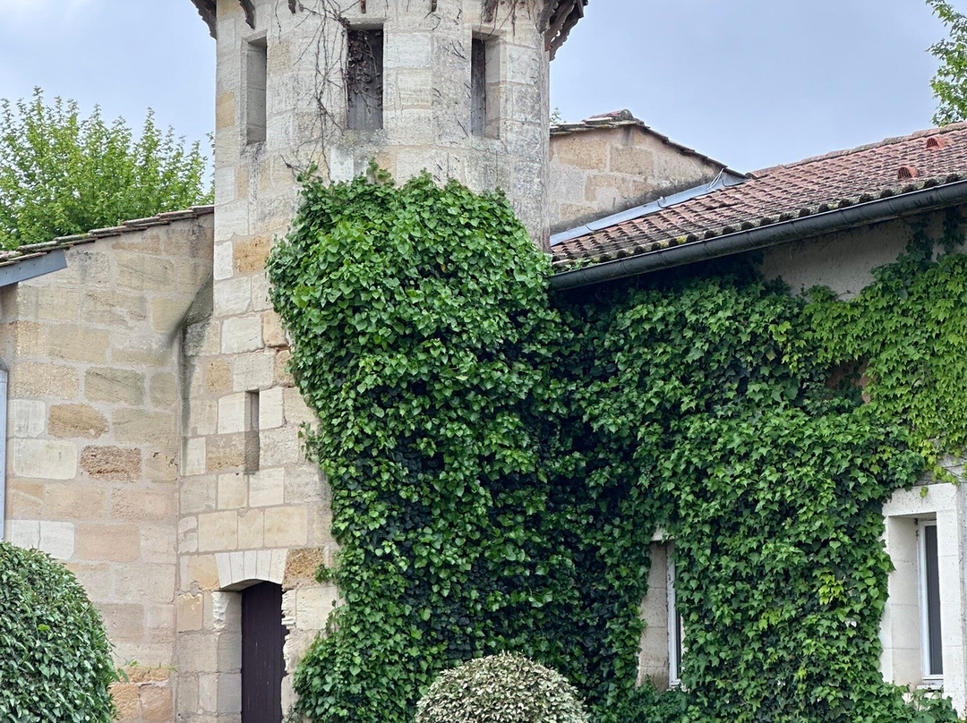 Château Pape Clément景点图片