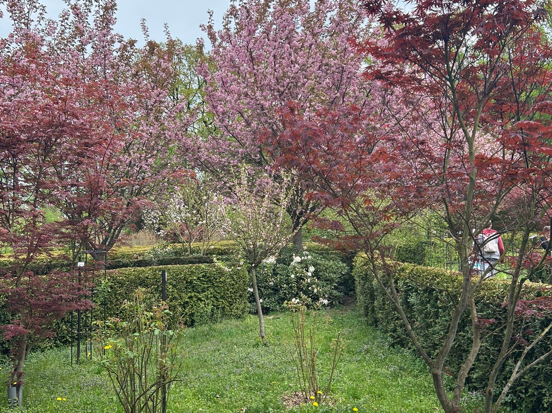 Aboretum Bramy Morawskiej景点图片