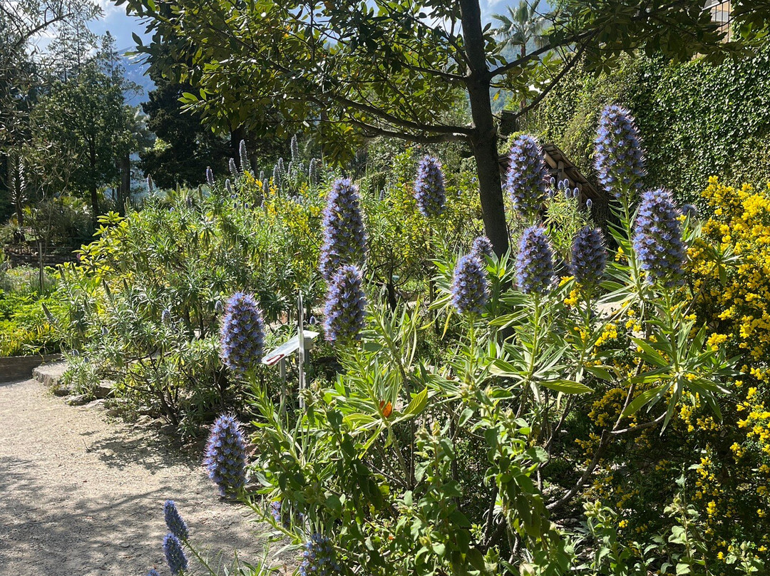 Brissago Islands-Brissago必去景点
