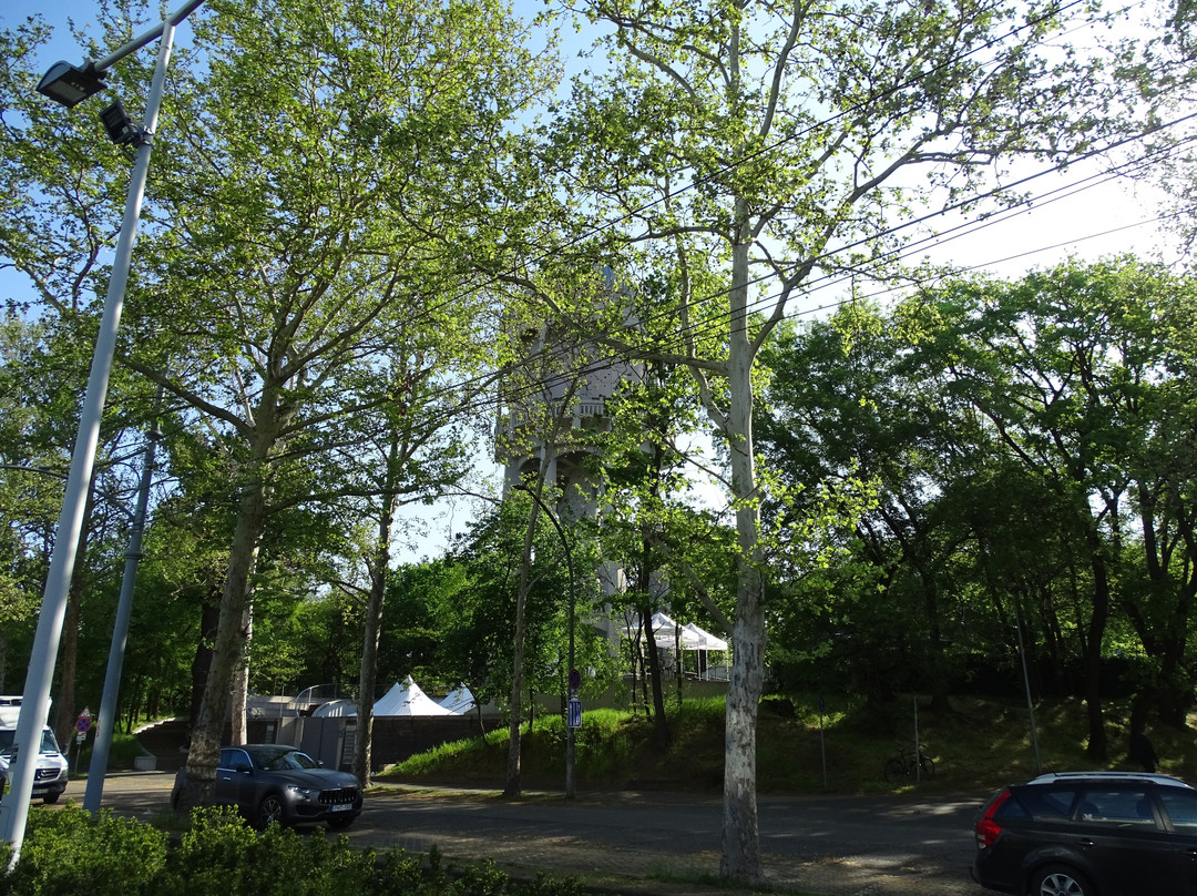 Nagyerdei Water Tower景点图片