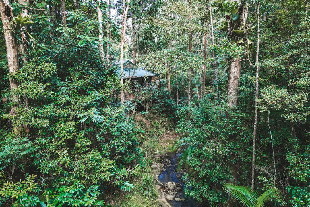 纳罗斯热带雨林消遣度假酒店主图