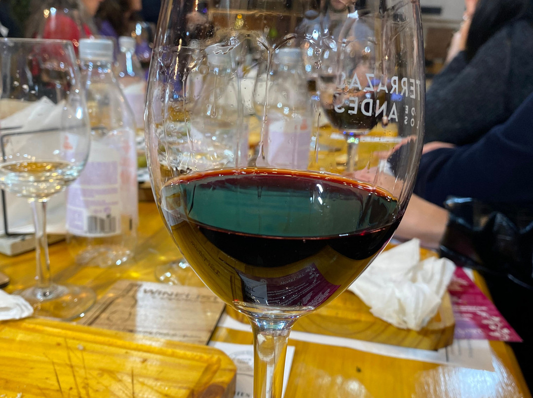 Winelist Premium-布宜诺斯艾利斯必去景点