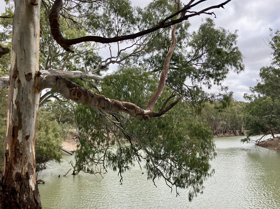 Yanga National Park-Balranald必去景点