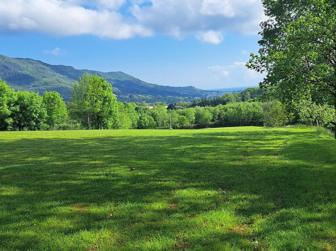 Usategieta Hotel Restaurante主图