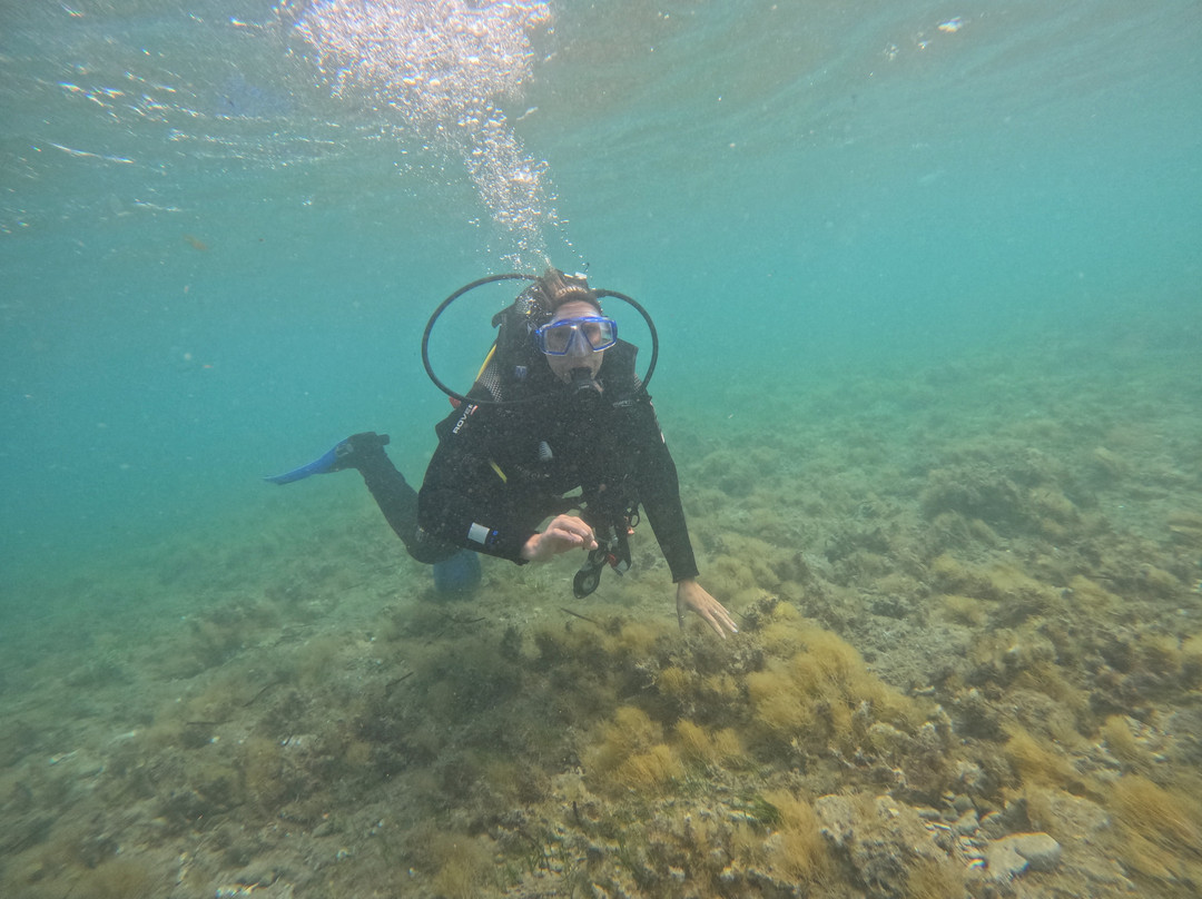 Dive Inn Corfu-Agios Georgios必去景点