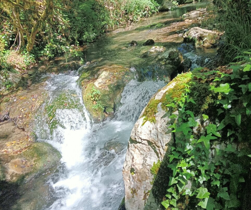 Grotte del Bussento-Morigerati必去景点