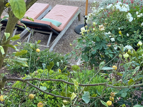 托勒布兰奇酒店主图