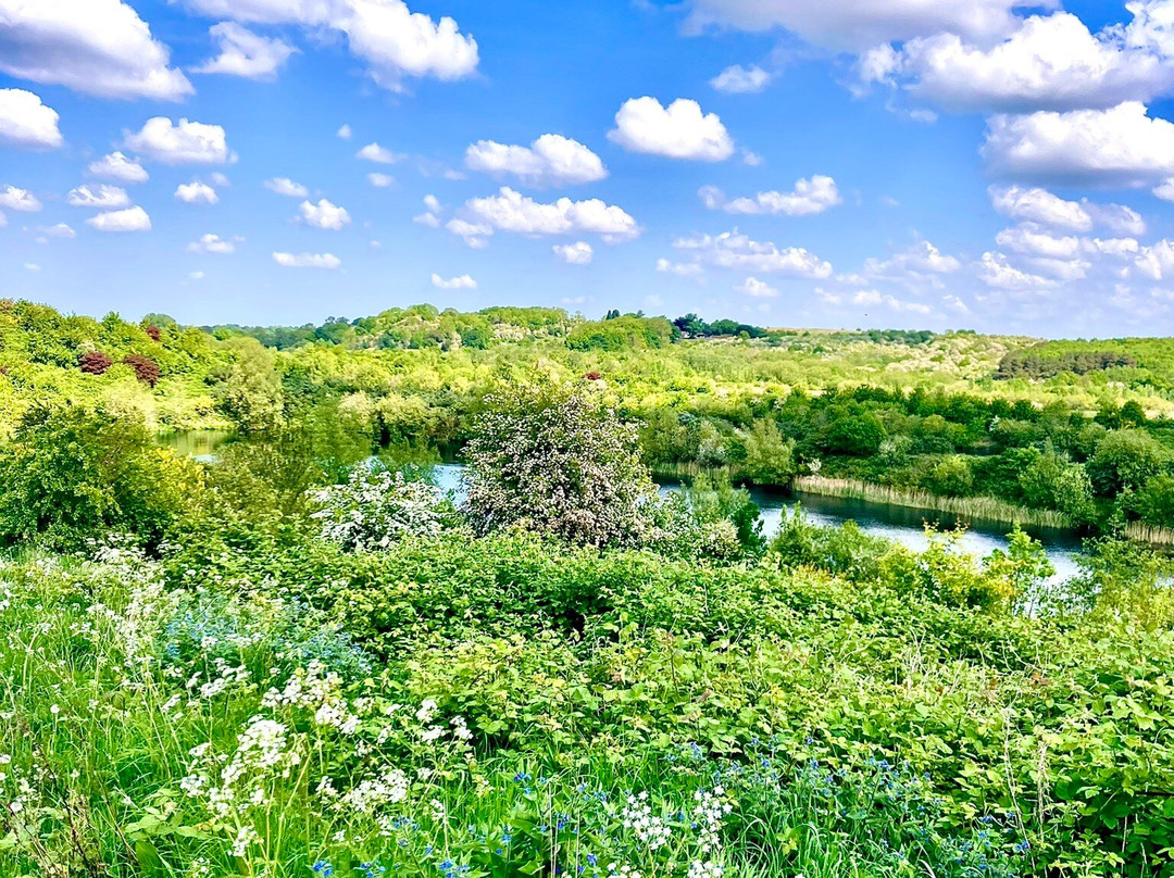 RSPB Middleton Lakes-塔姆沃思必去景点