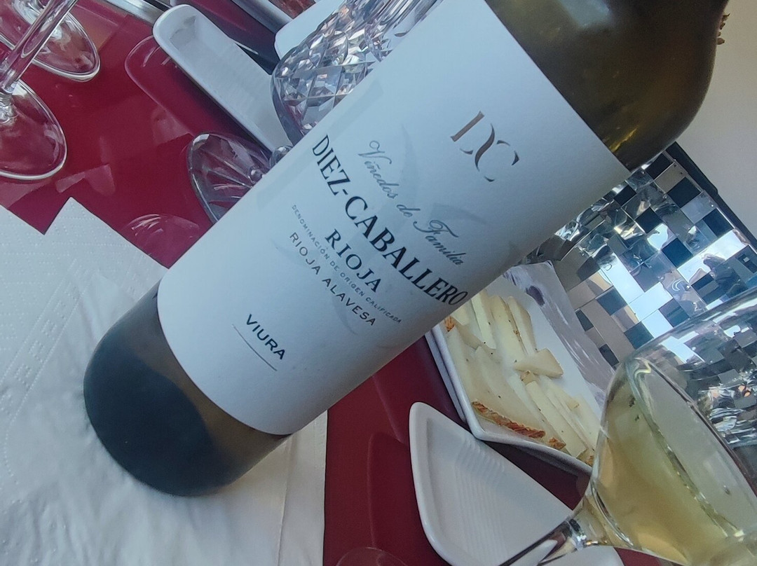 Bodegas Diez-Caballero-Elciego必去景点