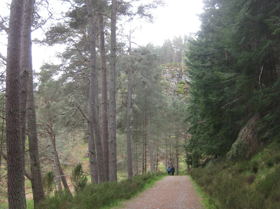 Uath Lochans Trail-Kincraig必去景点