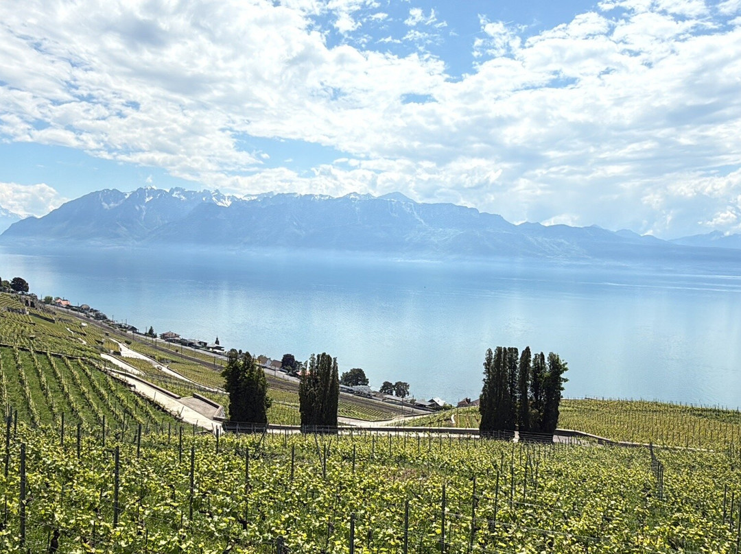 Domaine de la Crausaz-格朗沃必去景点