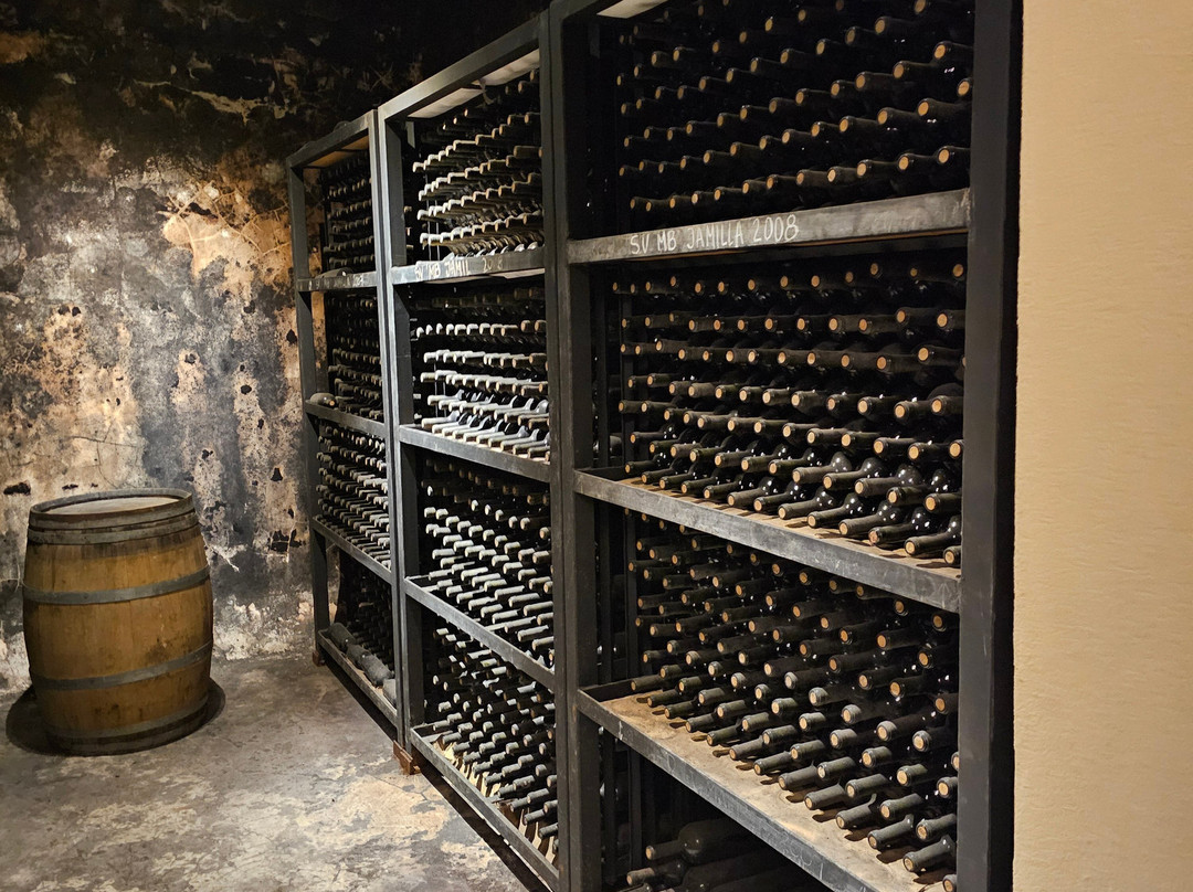 Casarena Bodega y Viñedos-路冉得库约必去景点