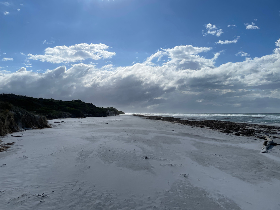Redbill Beach-比奇诺必去景点