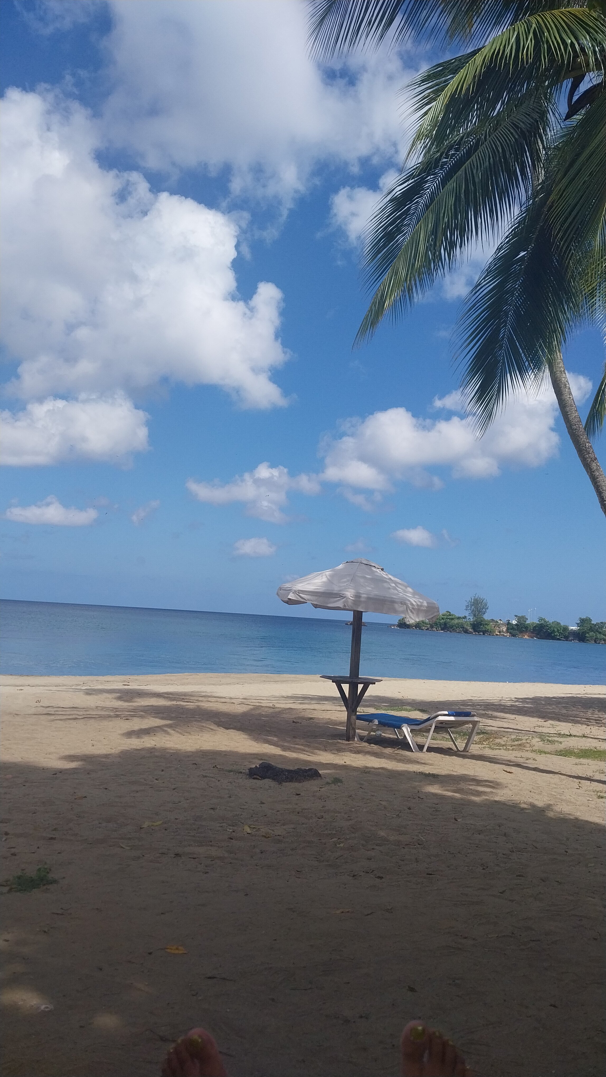Starfish Tobago Resort-官方