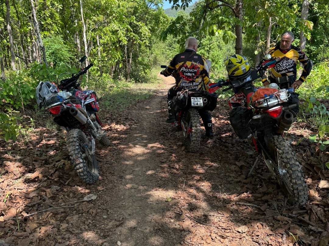 Thai Bike Tours-Nam Phrae必去景点