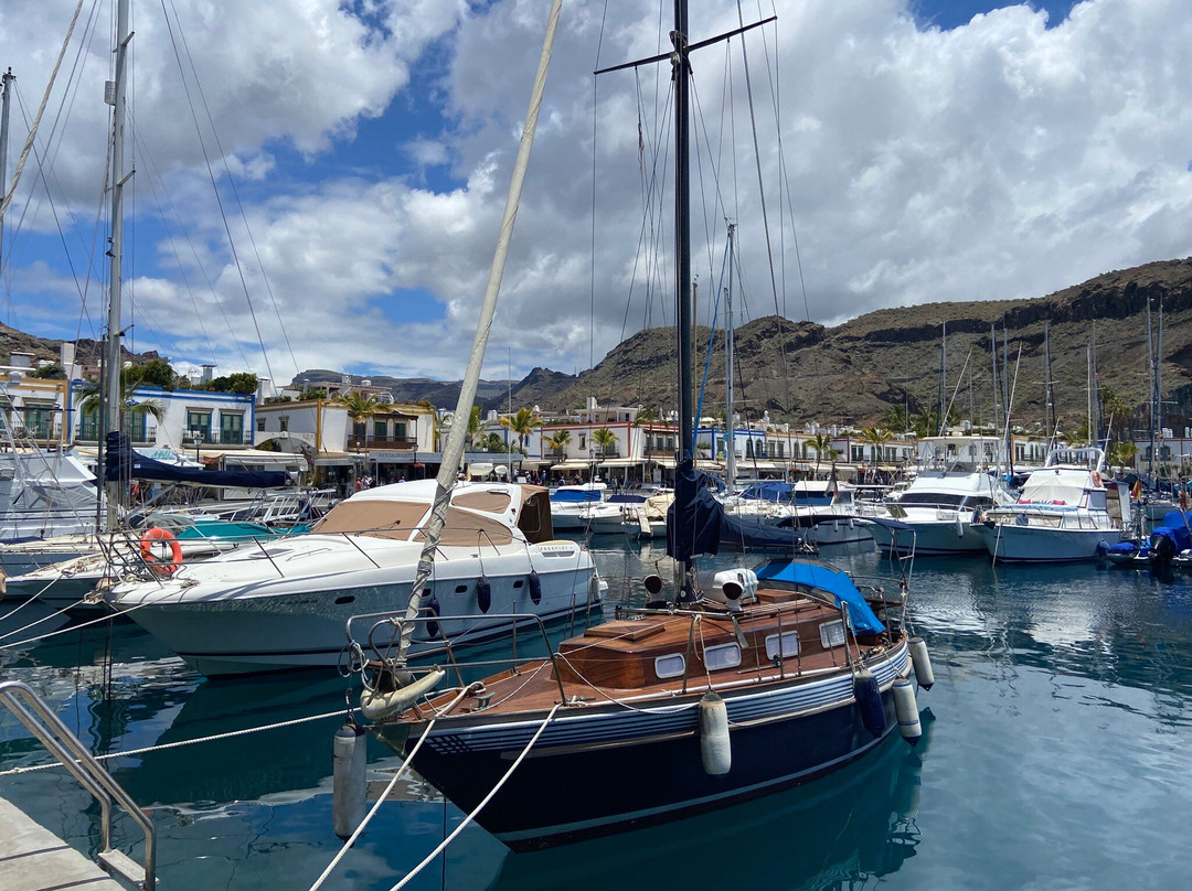 Puerto De Mogán景点图片