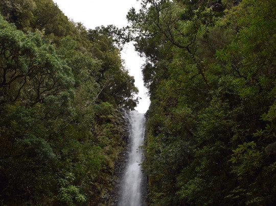 Madeira Explorers - Levada and Leisure Walks-沙尔必去景点