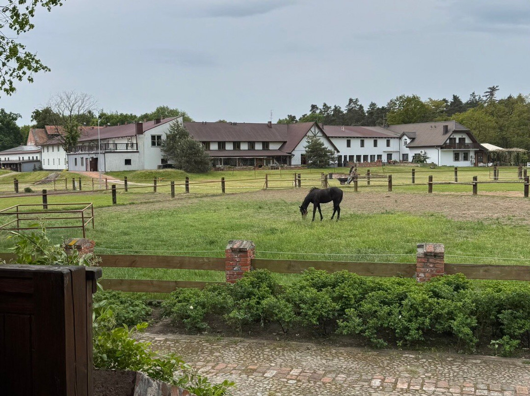 Folwark Konny Hermanów