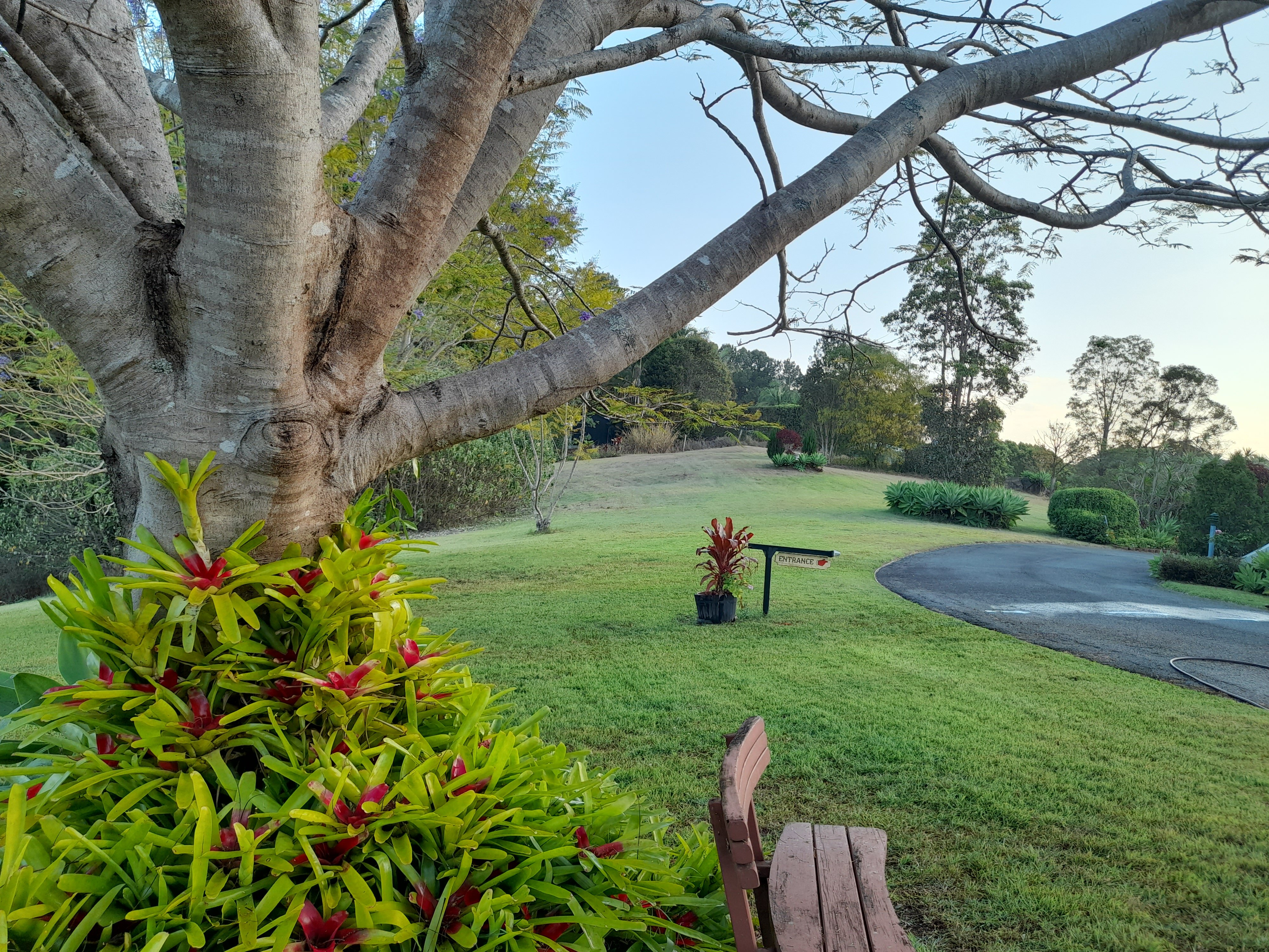 A View of Mount Warning Bed & Breakfast-浴室