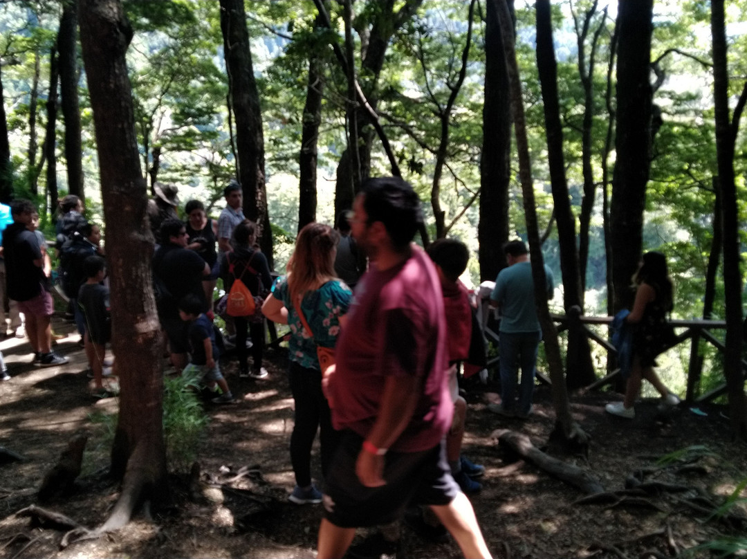 Sendero el Puma-耐尔杜美必去景点