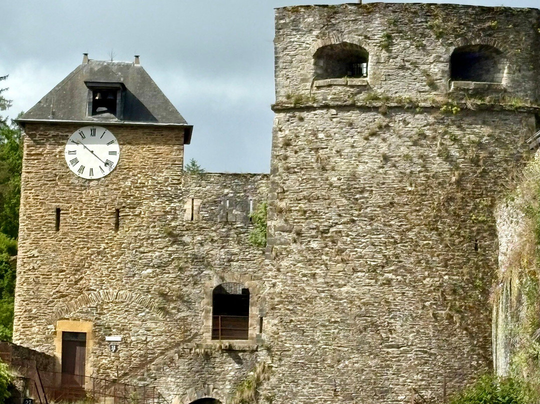 Visites guidées ville et château de Bouillon景点图片