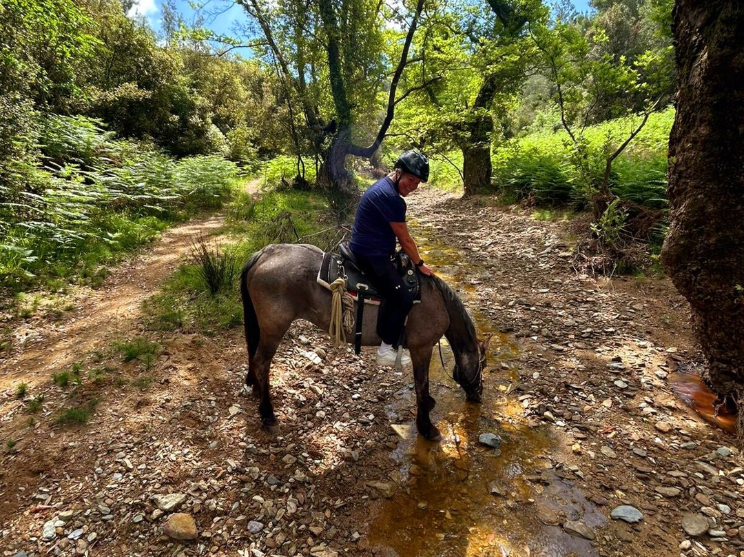 Skiathos Riding Centre-斯亚索斯必去景点