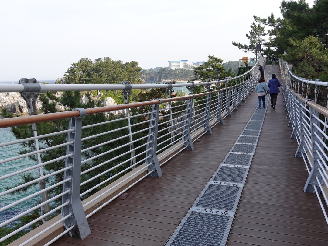 Chuam Suspension Bridge-东海市必去景点
