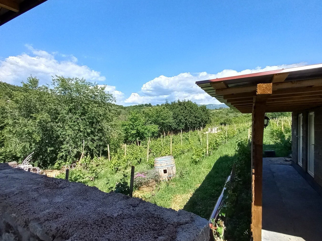 S&S Winery - Ohrid景点图片