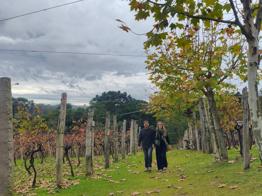 Vinhos Larentis景点图片