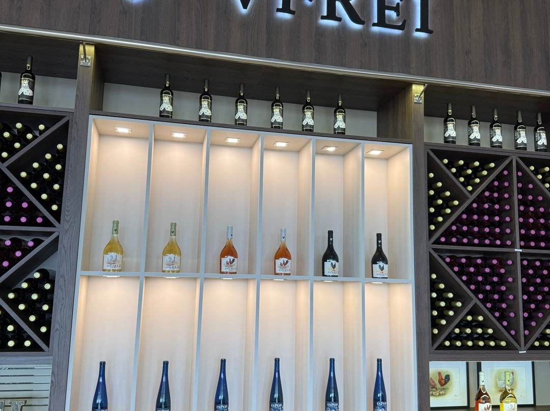 Bodegas Vi Rei-柳奇马约尔必去景点