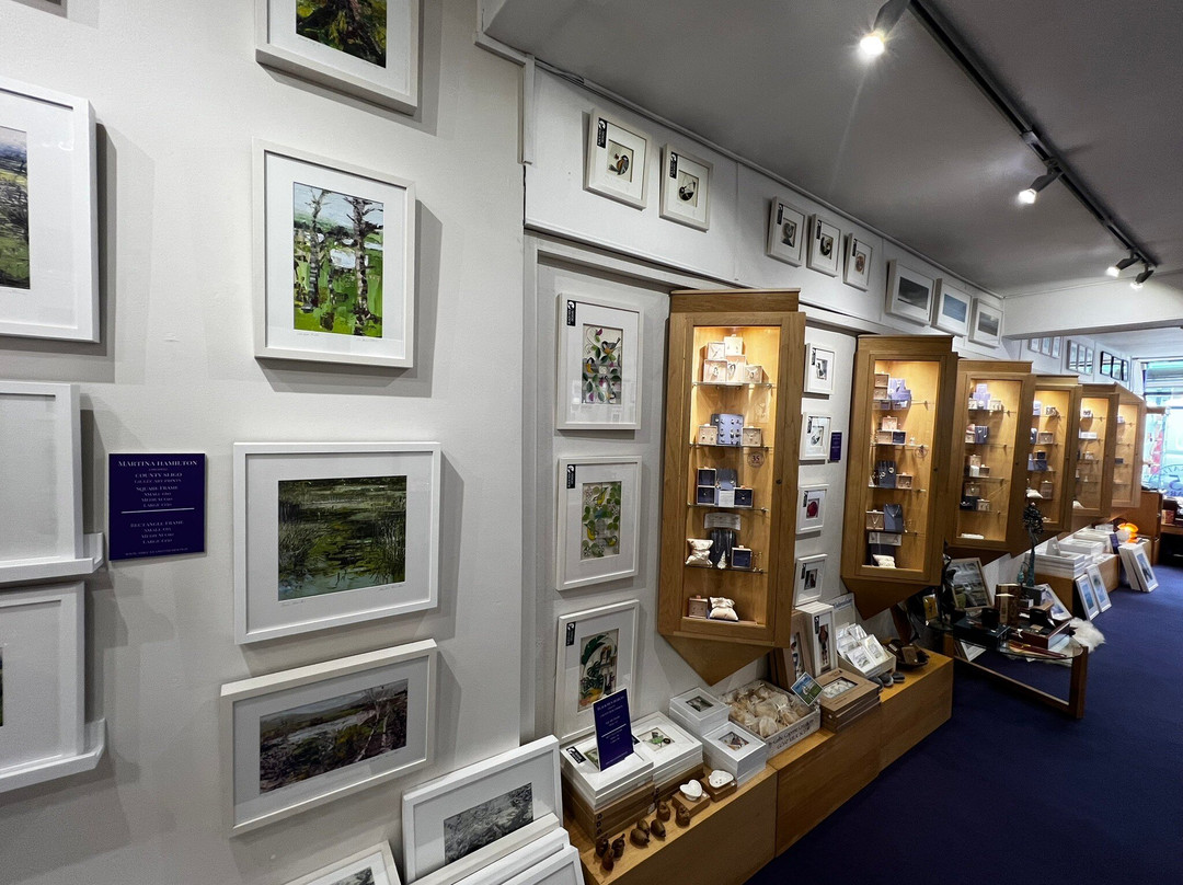 The Cat and Moon-斯莱戈必去景点